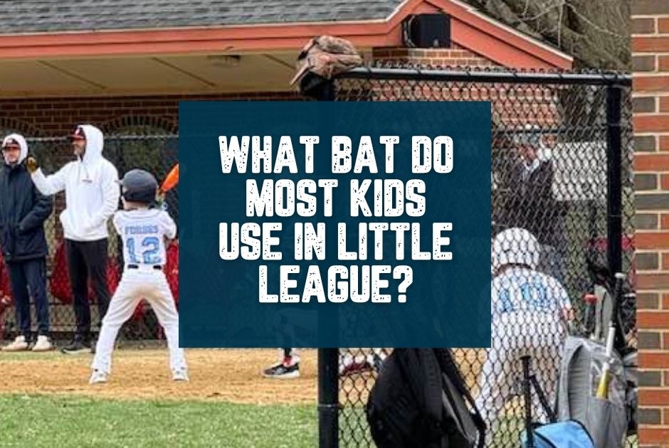 Collection of What Bat Do Most Kids Use in Little League? in a gallery layout