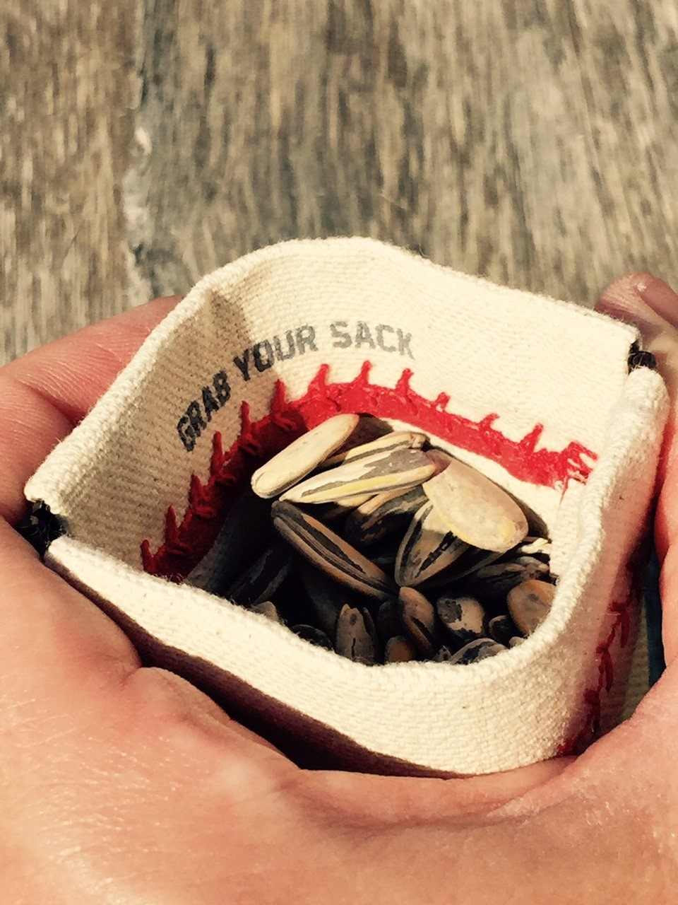 Small bag filled with seeds held in hands against a wooden background